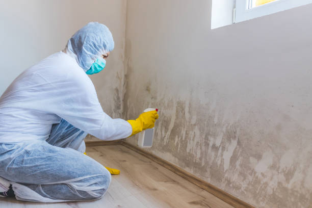 Mold inspector in Middle River performing thermal imaging